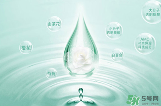 一葉子水光霜怎么用？一葉子水光霜使用方法