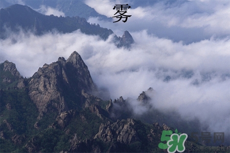 霧霾天吃什么菜清肺？霧霾天白色食物最清肺