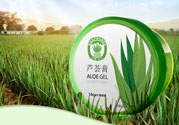 雅麗潔蘆薈膠多少錢？雅麗潔蘆薈膠好不好？