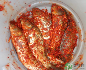 腌魚放多少鹽？腌魚放鹽的比例