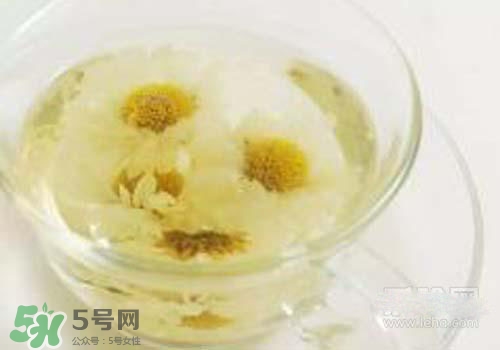 菊花茶什么時(shí)候喝最好？菊花茶什么季節(jié)喝最好？