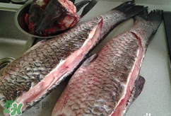 新鮮魚怎么腌制咸魚塊？咸魚塊怎么腌制