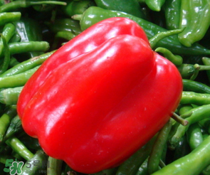 辣椒變紅能吃嗎？辣椒為什么會變紅？