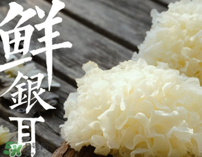 新鮮銀耳有毒嗎？新鮮銀耳怎么去毒？