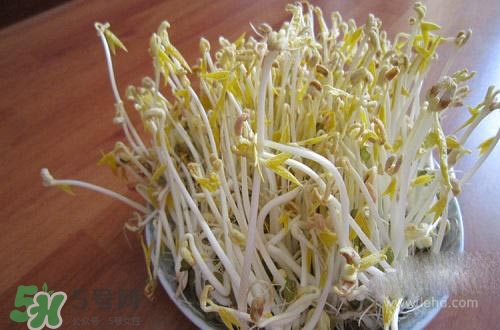 豆芽糖尿病可以吃嗎？糖尿病吃豆芽有什么好處？