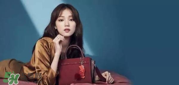 李圣經(jīng)的包包什么牌子？李圣經(jīng)包包同款