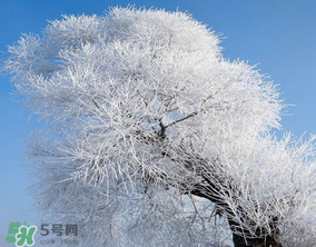 2017年第一場雪什么時候？2017年什么時候下雪？