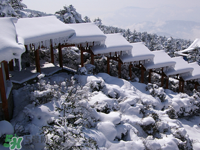 2017年第一場雪什么時候？2017年什么時候下雪？