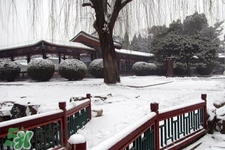 2017年過(guò)年會(huì)下雪嗎？2017年過(guò)年天氣情況