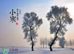 小寒和大寒哪個(gè)冷？小寒大寒什么意思？