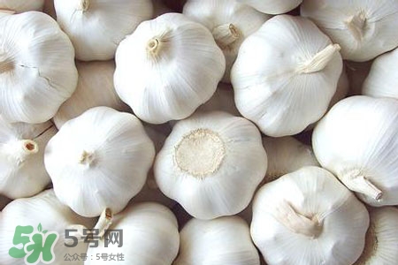 2017過年大蒜會漲價嗎？2017年春節(jié)大蒜價格預測