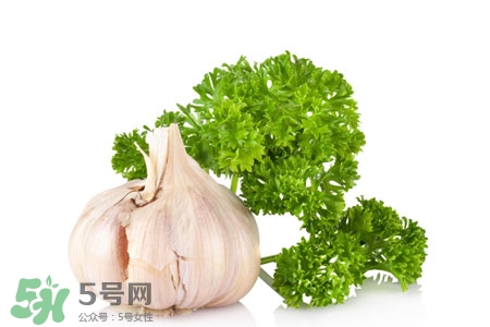 2017過年大蒜會漲價嗎？2017年春節(jié)大蒜價格預測