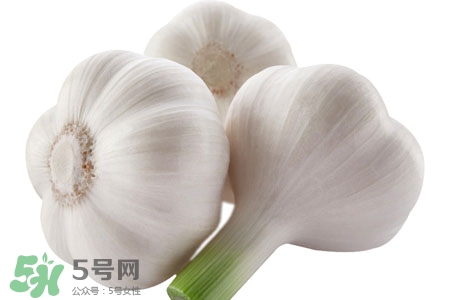 2017過年大蒜會漲價嗎？2017年春節(jié)大蒜價格預測