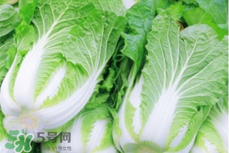 2017過(guò)年白菜會(huì)漲價(jià)嗎？2017年春節(jié)白菜價(jià)格預(yù)測(cè)