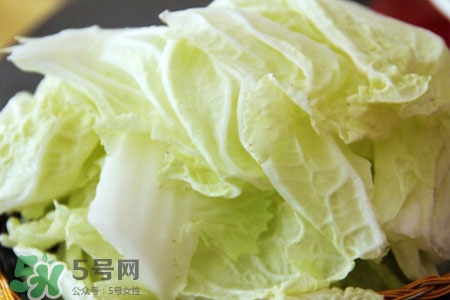 2017過(guò)年白菜會(huì)漲價(jià)嗎？2017年春節(jié)白菜價(jià)格預(yù)測(cè)