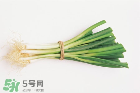 2017過年大蔥會漲價嗎？2017年春節(jié)大蔥價格預(yù)測