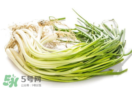 2017過(guò)年小蔥會(huì)漲價(jià)嗎？2017年春節(jié)小蔥價(jià)格預(yù)測(cè)