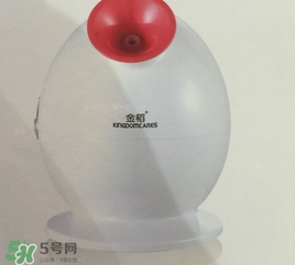 金稻蒸臉器可以天天用嗎？金稻蒸臉器天天用好嗎？