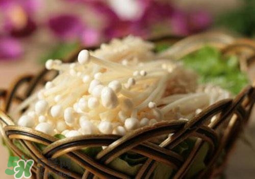 金針菇不能和什么一起吃？金針菇的食用禁忌
