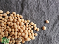 對(duì)心臟有益的食物有哪些？對(duì)心臟有好處的食物大全