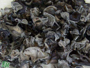 干木耳泡多久可以吃？干木耳泡了兩天還能吃嗎？