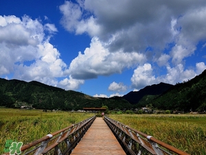 春節(jié)去云南穿什么？云南春節(jié)過年穿什么衣服？