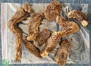 野生肉蓯蓉多少錢(qián)一斤？肉蓯蓉價(jià)格一斤多少錢(qián)？