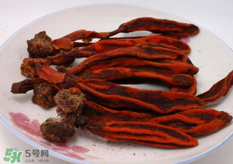 回春草有什么功效？回春草的功效與作用 