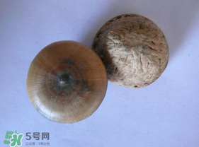 風流果多少錢一斤？風流果的價格