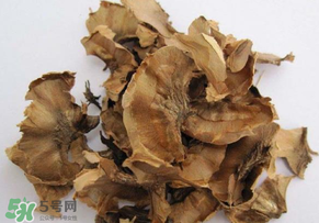 分心木真的能治失眠嗎？分心木治療失眠有奇效