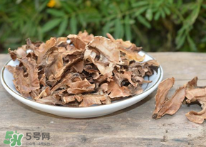 分心木真的能治失眠嗎？分心木治療失眠有奇效