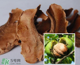 核桃分心木能長期喝嗎？核桃分心木一天喝幾次？