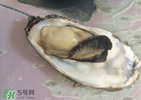 生蠔多少錢一斤？生蠔一斤有幾個(gè)？