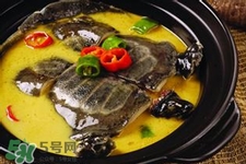 有乙肝可以吃甲魚嗎？乙肝患者禁吃甲魚