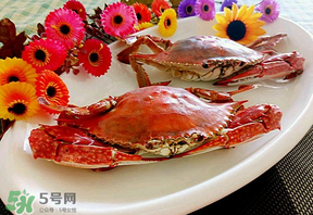 臘月吃什么蟹？臘月吃公蟹還是母蟹？