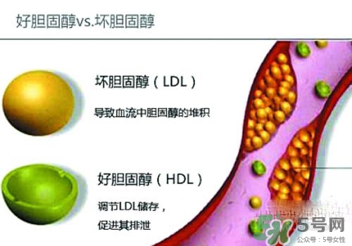膽固醇高是血脂稠嗎？膽固醇高和血脂稠有什么聯(lián)系？