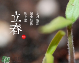立春吃什么蔬菜？立春時令蔬菜推薦