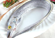 帶魚多少錢一斤？帶魚多少錢一箱？