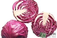 紫甘藍(lán)是轉(zhuǎn)基因食品嗎？紫甘藍(lán)是轉(zhuǎn)基因蔬菜嗎？