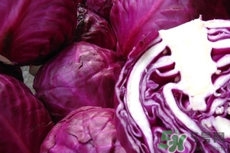 紫甘藍(lán)是轉(zhuǎn)基因食品嗎？紫甘藍(lán)是轉(zhuǎn)基因蔬菜嗎？