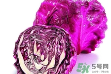 涼拌紫甘藍(lán)用焯水嗎？紫甘藍(lán)涼拌需要焯水嗎？