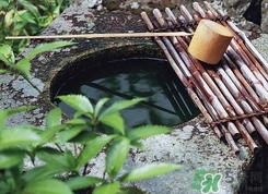 井華水是什么？井華水的含義