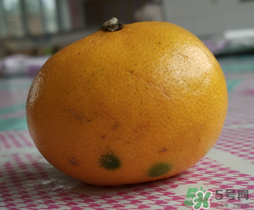 橘子皮發(fā)霉可以吃嗎？吃了發(fā)霉的橘子怎么辦？