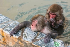 入浴劑是什么？入浴劑怎么用