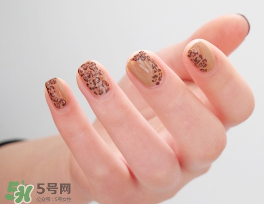 豹紋美甲圖片2017 豹紋美甲怎么畫 豹紋美甲圖片2017 豹紋美甲怎么畫