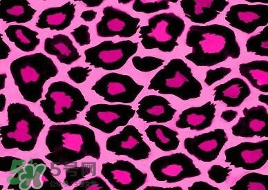 豹紋美甲圖片2017 豹紋美甲怎么畫 豹紋美甲圖片2017 豹紋美甲怎么畫