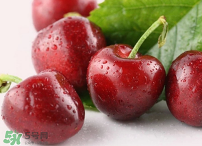 為什么吃車(chē)?yán)遄訒?huì)拉肚子？吃車(chē)?yán)遄永亲釉趺崔k？