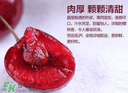 車?yán)遄幽睦锂a(chǎn)的最好？車?yán)遄赢a(chǎn)地在哪里？