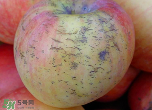 蘋果裂紋能吃嗎？蘋果裂紋是怎么回事？