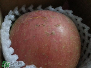 蘋果裂紋能吃嗎？蘋果裂紋是怎么回事？
